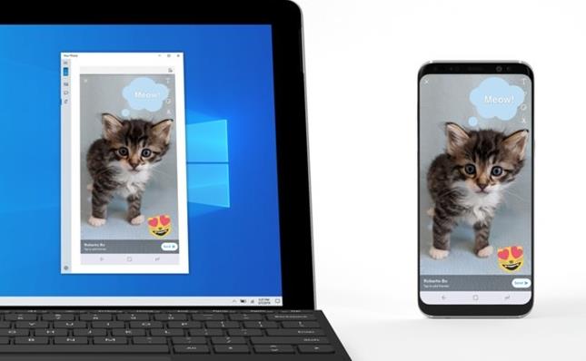 Windows 10 19H1A[18356ϵy