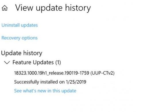 Windows 10 19H1Ml֧ 4ڶ