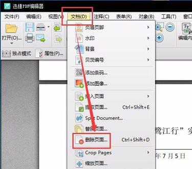 pdf pdf
