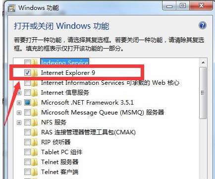 ie ie