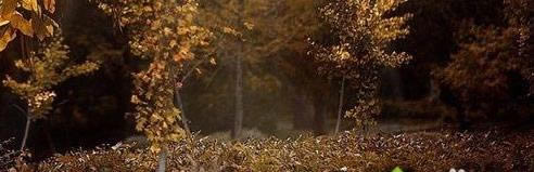Pӛwin7ԴD˲@ʾĽQ
