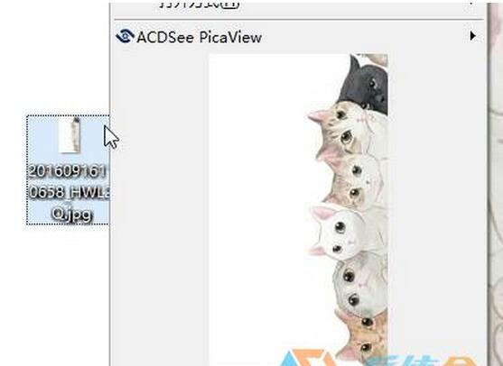 安裝ACDSee PRO+2.jpg